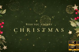 New Year Wishes | New Year Greetings V3 42230113
