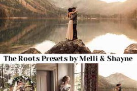 Melli & Shayne – The Roots Presets