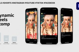 Dynamic Reels Stomp | Reels / Shorts / Tik Tok | Premiere Pro 44660088