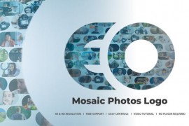 Photo Logo Reveal 50918627