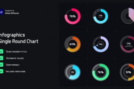 Single Round Chart Infographic 52490883