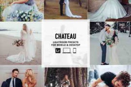 Free Download:The Luxe Lens – Chateau – Single Color Palette Lightroom Presets & AI Tools