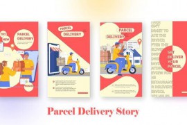 Parcel Delivery Instagram Story Premiere Pro Template 44599827