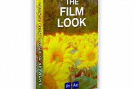Tiny Tapes - THE FILM LOOK