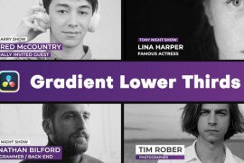 Simple Gradient Lower Thirds | DaVinci Resolve 48801453