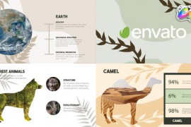 Nature Slides | FCPX 43934780