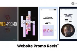 Website Promo Reels v2 51361408