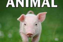 Sound Ideas Farm & Wild Animal Sound Effects FLAC