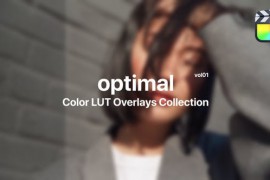 Optimal Color Presets for Final Cut Pro Vol. 01 48369851