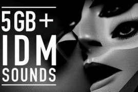 The Fellow Passenger IDM Glitch Sample Library Patreon WAV