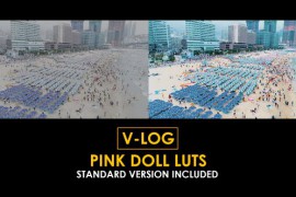 V-Log Pink Doll and Standard Color LUTs 51303286