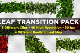 Leaf Transition Pack 4K 23020669
