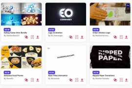 2024.2.6.48.Set.AE.Templates