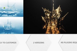 Gold And Water Splashes | Logo Reveal 19411806