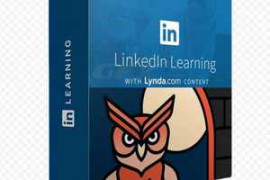 Linkedin – Adobe Illustrator: Tips and Techniques