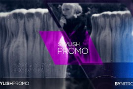 Stylish Promo 19599686