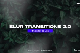 Blur Transitions 2.0 45151162