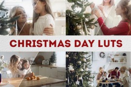 Christmas Day LUTs | DaVinci Resolve 49768294
