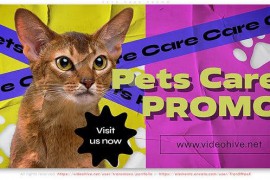 Pets Care Promo 45024534