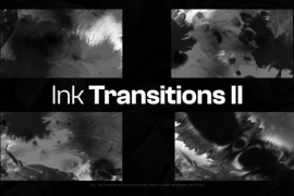 20 Ink Transitions II 47854011