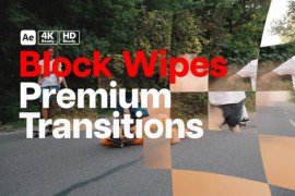 Premium Transitions Block Wipes 49816426