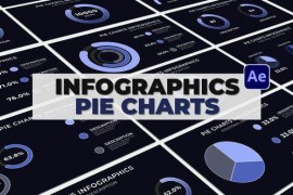 Infographics Pie Charts 51993452