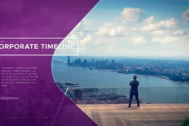 Corporate Timeline 21220066