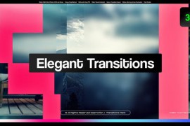 Elegant Transitions 47994012