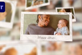 Album Gallery Slideshow 52563250