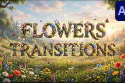 Free Download:Flowers Transitions for After Effects 63094539