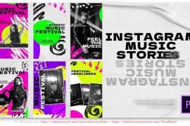 Music Fest Stories 44272519