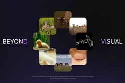 Free Download:Carousel Slides 59848939