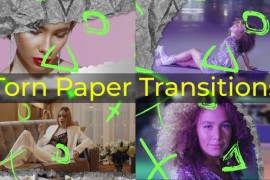Torn Paper Transitions 51841351