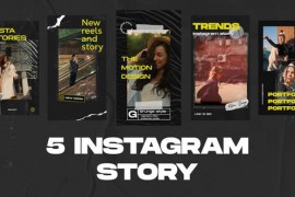 Instagram Story & Reel 2 Mogrt 49742123
