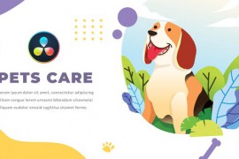 Pets Care and Veterinarian | DaVinci Resolve 32634766