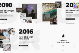 Clean Corporate Timeline Presentation for FCPX 48310653
