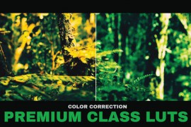 LUTs Premium Class 41936747