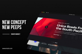 Fast Website Promo 25976250