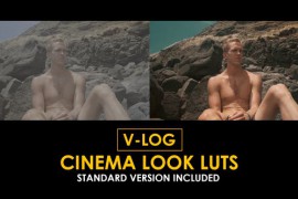 V-Log Cinema Look and Standard Color LUTs 51378341