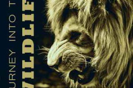 Nature Sounds Journey Into the Wildlife Collection of Various Nature Sounds Effects FLAC-FANTASTiC