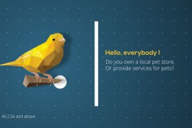 Pets Logo Reveal 21787620