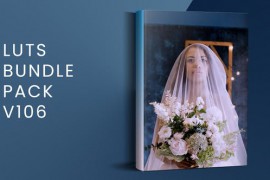 LUTs Bundle Pack V106 | FCPX 50585268
