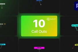 Call Outs for Premiere Pro Vol. 02 44907760