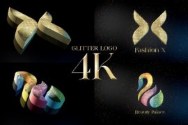 Glitter Logo Reveal 52325125