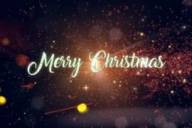 Christmas Wishes 21114110