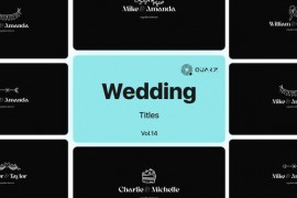 Wedding Titles Vol. 14 48928944