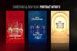Christmas & New Year Portrait Intros 42462611