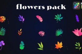 Colorful Flowers Pack for FCPX 52077290