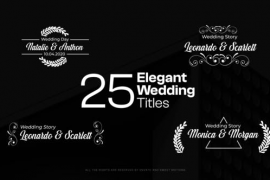 Elegant Wedding Titles 46759017