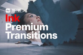 Premium Transitions Ink 49833315
